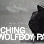 WolfMob