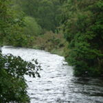 L1000990
