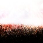 musicfestival