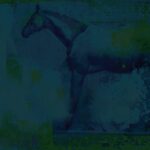 Undermain-Guyon
