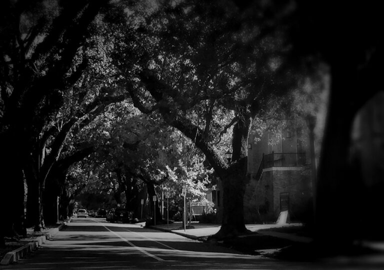 Of Levees, Lagniappe and Lexington