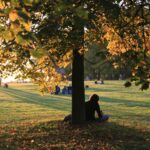 Persons Sitting under Tree