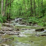 doublelick-creek_edited