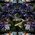for200709_193-19