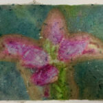 New World_ Metamorphosis_IMG_0716
