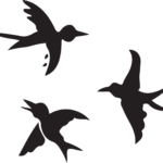 12_3 birds