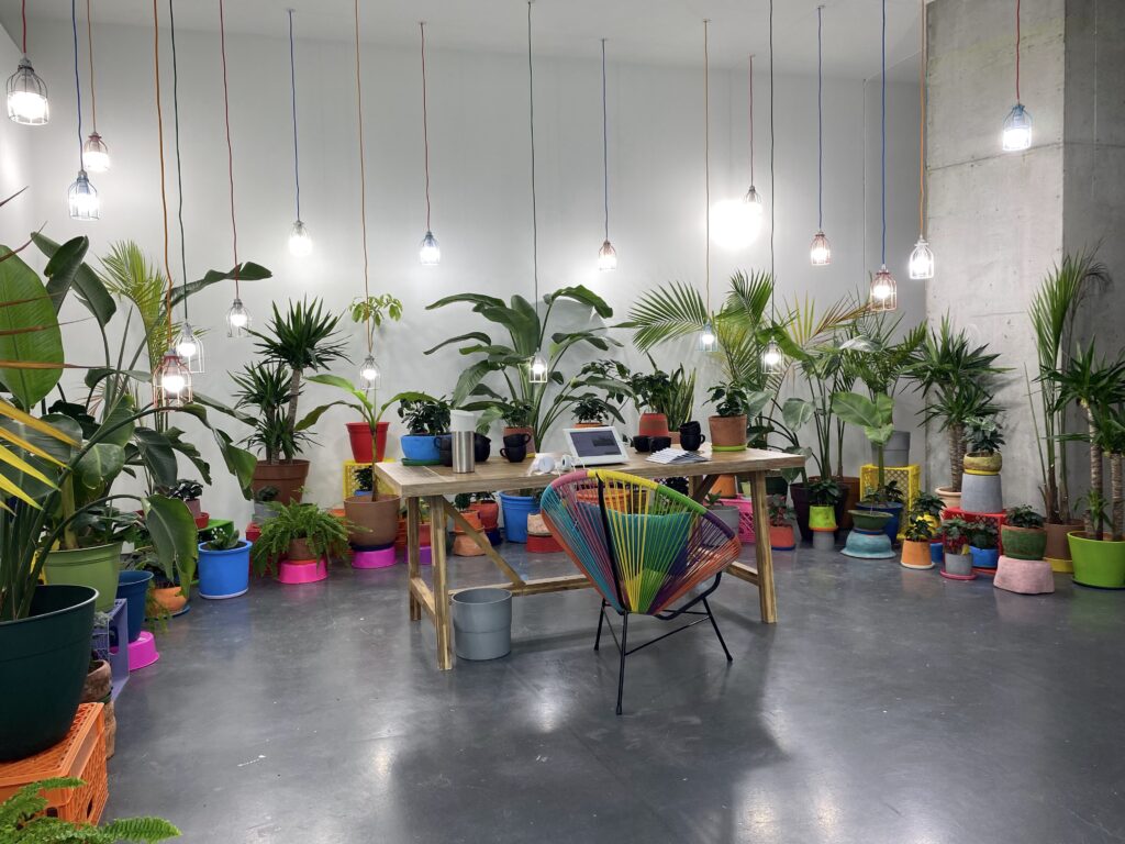 Image: Lorena Molina, Reconciliation Garden, 2021, plants, ceramic, plastic, wood, coffee, iPad, grow lights. Photo by Ely Maris. A variety of plants sit in what appears to be a semi-circle from the viewer's perspective. The plants are in different colored pots. There is a desk in the center with a rainbow-colored chair. Lights hanging at various lengths are suspended from the ceiling.