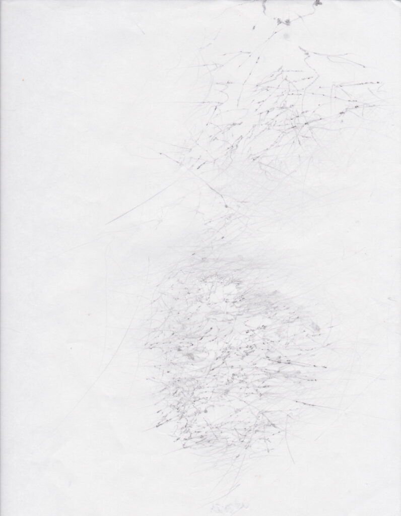 Image: Claudia O’Steen and Aly Ogasian, Keweenaw Observing Station (19 Jun 12:08 PM), 2021, graphite on papers. The work is abstract and mainly comprised of many small markings on white paper. Image courtesy of Manifest Gallery.