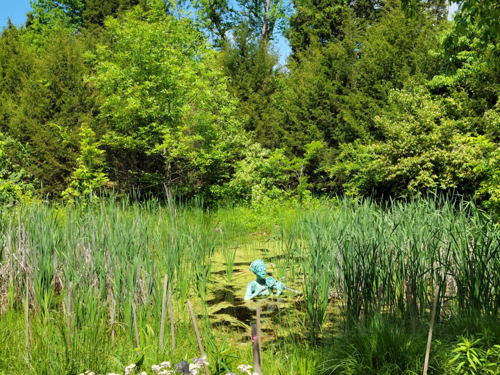 Image: A photo of a teal figure playing a violin slightly emerging from the surface of a pond. The pond is lush with moss and other vegetation. Trees sit behind the pond.