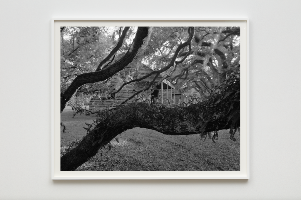 Image: Dawoud Bey, Branches, Leaves, and Cabins, 2019. Gelatin silver print. Courtesy of Laura Lee Brown and Steve Wilson, 21c Museum Hotels. A black and white photo of a cabin set back behind tree branches hangs on a white gallery wall.
