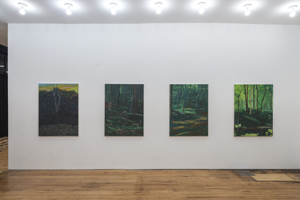 Image: Installation image of exhibition Under the Eyes of a Dry Mountain by Aaron Michael Skolnick at MARCH Gallery, New York City. Photographed by Cary Whittier. Photo provided by MARCH gallery. Four paintings of nature scenes hang on a white gallery wall.