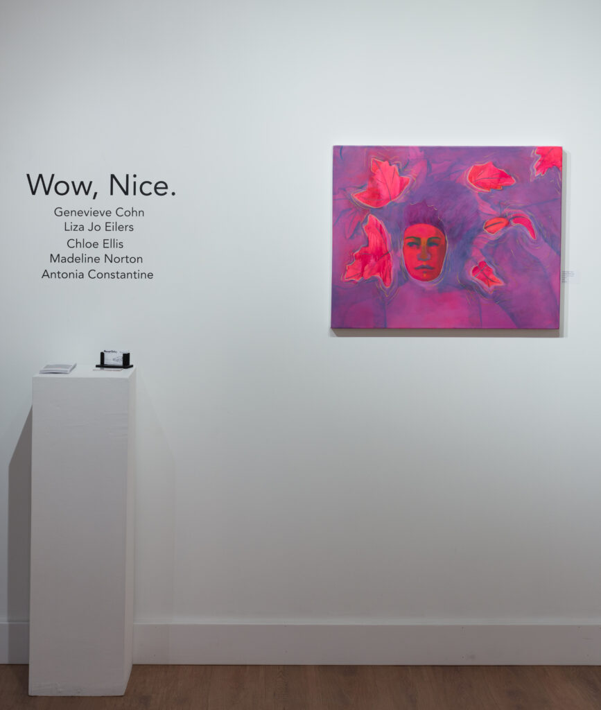 Image: An installation view of Wow, Nice. at Racecar Factory gallery. Text on the wall reads the title of the show and its participating artists. To the left on the wall hangs the painting Aquatic Nocturne by Genevieve Cohn. Image courtesy of the gallery.