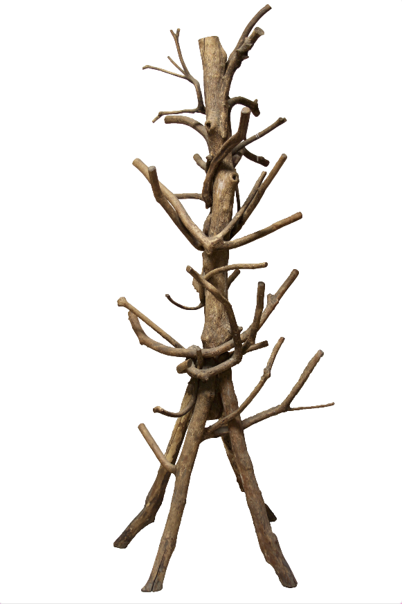 Image: A coat rack made in the mid-20th century from wild rhododendron by an unknown Appalachian artist. Image courtesy of the Loyal Jones Appalachian Center.