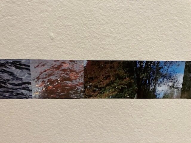 Image: A detail shot of the installation The Roar on the Other Side of Silence (Along Line 5) by Kate Levy. The images shows a close up of a horizontal row of small photos of nature. Photos by Kim Kobersmith.